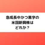 急成長中かつ黒字の米国新興株は何か？