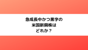 急成長中かつ黒字の米国新興株は何か？